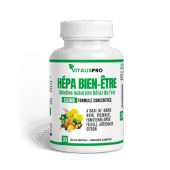 Hépa Bien-Être : Détox Foie & Bien-Être Hépatique – Formule Radis Noir, Artichaut & Curcuma