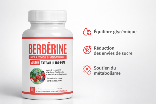 Berbérine 500 mg – Anti-Résistance à l'Insuline, Coupe-Faim & Équilibre Glycémique 6 berberine 500mg maroc alphavital.ma2