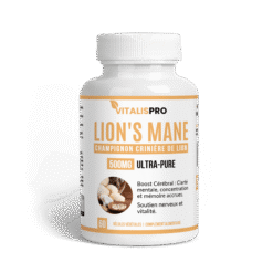 Crinière de Lion (Lion's Mane) 500 mg – Le Nootropique Naturel pour la Mémoire et la Clarté Mentale - complément alimentai...