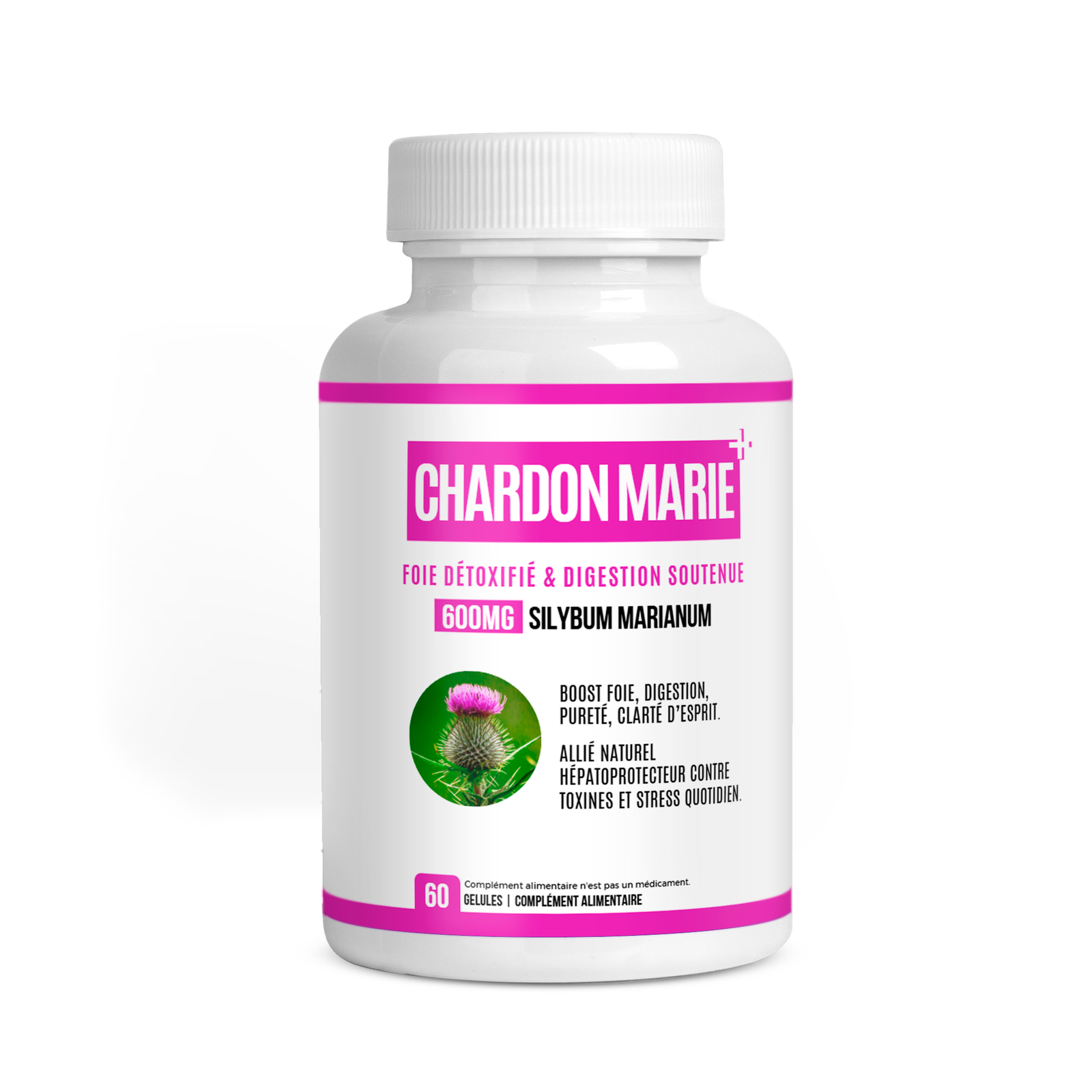 Chardon Marie (Milk Thistle)– Détox Hépatique Puissante et Antioxydant Naturel au Maroc 1 Chardon Marie (Milk Thistle)– Détox Hépatique Puissante et Antioxydant Naturel au Maroc