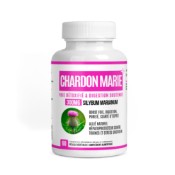 Chardon Marie (Milk Thistle)– Détox Hépatique Puissante et Antioxydant Naturel au Maroc - complément alimentaire naturel M...
