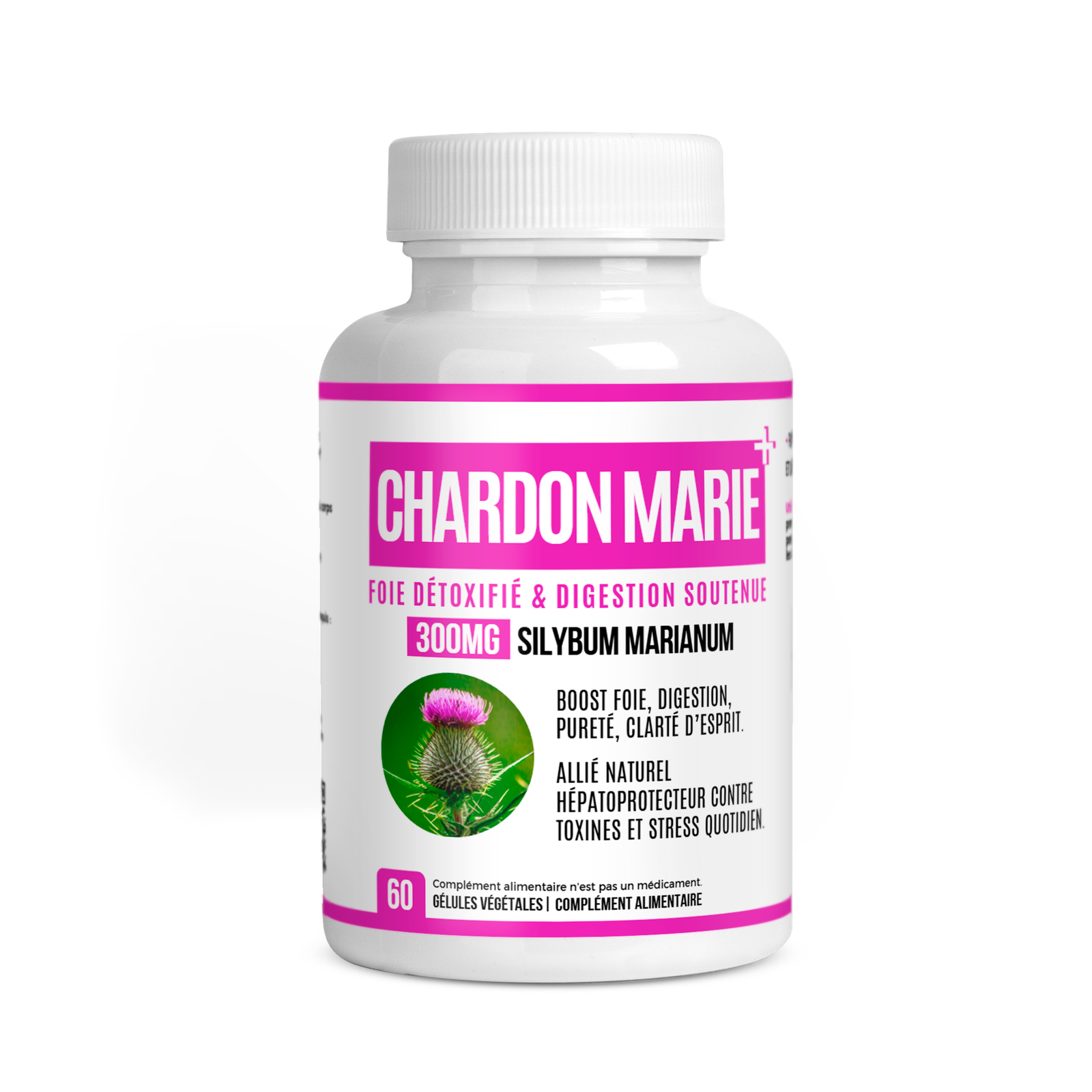 Chardon Marie (Milk Thistle)– Détox Hépatique Puissante et Antioxydant Naturel au Maroc 1 Chardon Marie (Milk Thistle)– Détox Hépatique Puissante et Antioxydant Naturel au Maroc