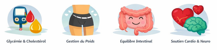 Berbérine : bienfaits, dosage et guide complet ultime – gélules 500 mg au maroc 2 bienfaits Berbérine – extrait de Berberis vulgaris pour gélules 500 mg