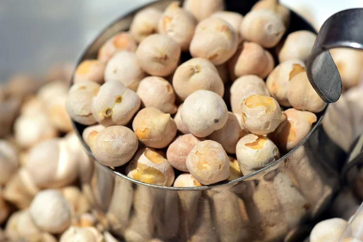 Dried chickpeas, a legume rich in plant-source iron and protein, the base of many Moroccan dishes