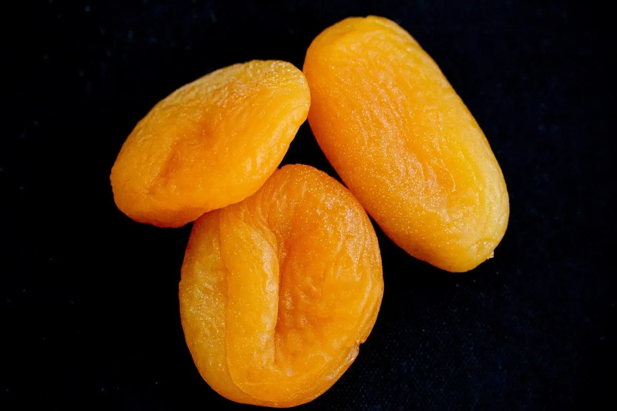 Dried apricots, a concentrated source of iron and fibre, ideal as a snack