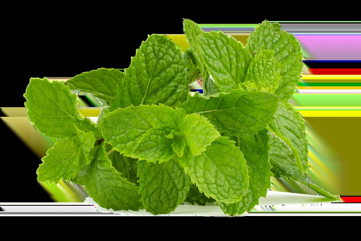 Chrome picolinate au Maroc : fringales & glycémie 16 Verre de thé à la menthe marocain et pâtisseries traditionnelles au miel, illustrant le rapport culturel au sucre