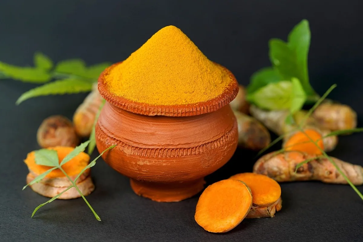 Détox foie au Maroc : soutien hépatique naturel | Alphavital 12 Racine de curcuma fraîche et poudre de curcuma sur une surface en bois, épice étudiée pour ses effets sur le foie