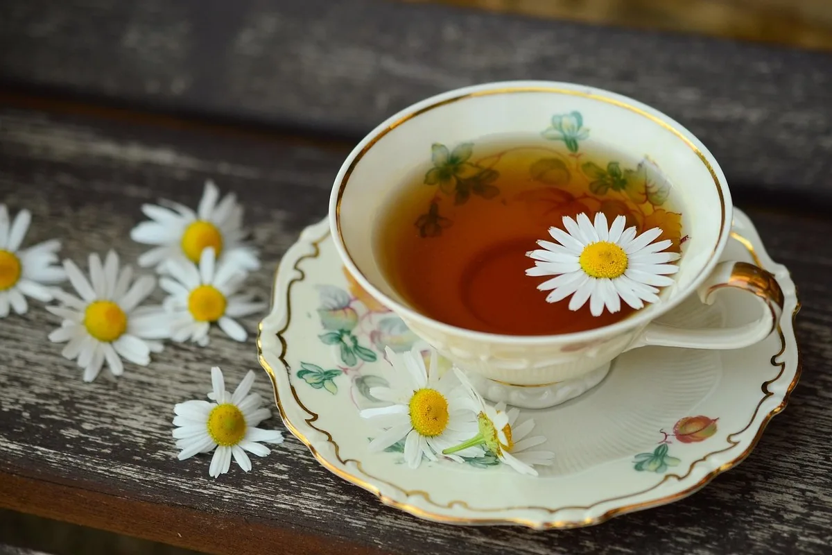 Digestion & immunité au Maroc : le guide | Alphavital 27 Tasse de boisson chaude entourée de feuilles d'automne, évoquant la saison où l'immunité est mise à l'épreuve