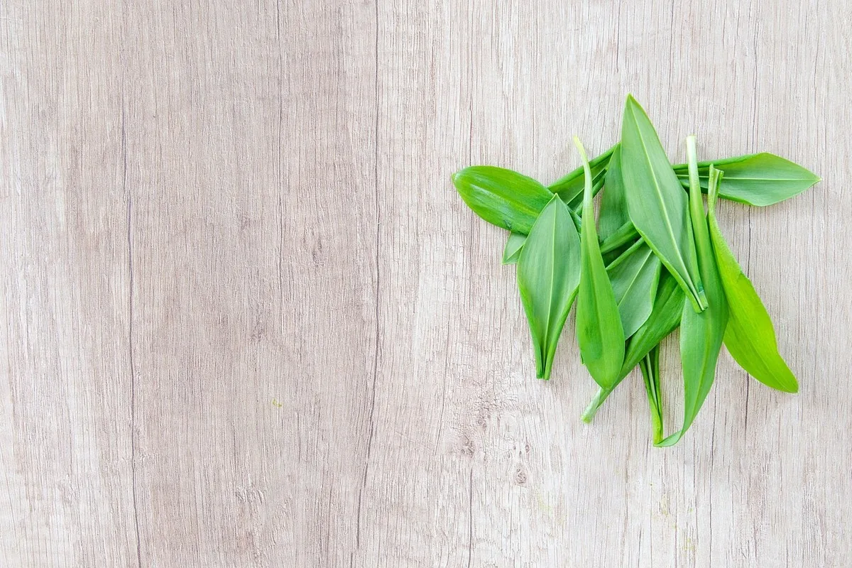 Douleur articulaire & arthrose : solutions naturelles | Alphavital 18 Étal coloré d'huile d'olive, de poissons, de légumes verts et d'épices, base d'une alimentation anti-inflammatoire