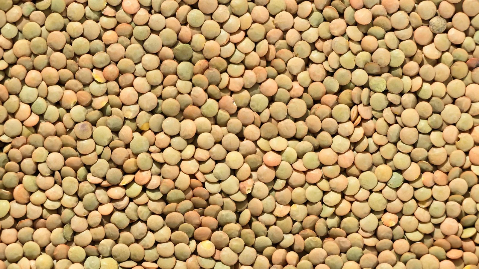 Aliments riches en fer sur une table claire – lentilles, viande, légumes verts