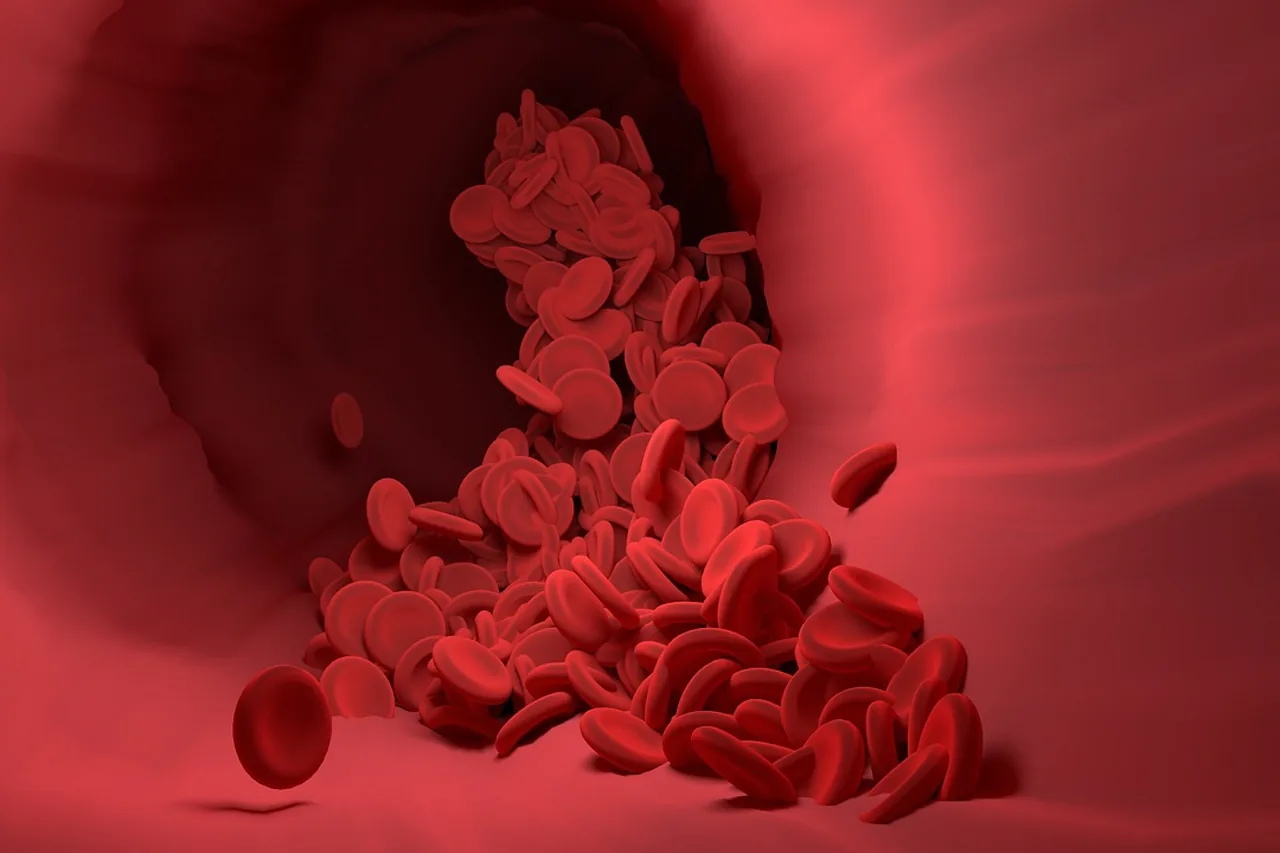 Illustration de globules rouges – le fer entre dans la composition de l'hémoglobine
