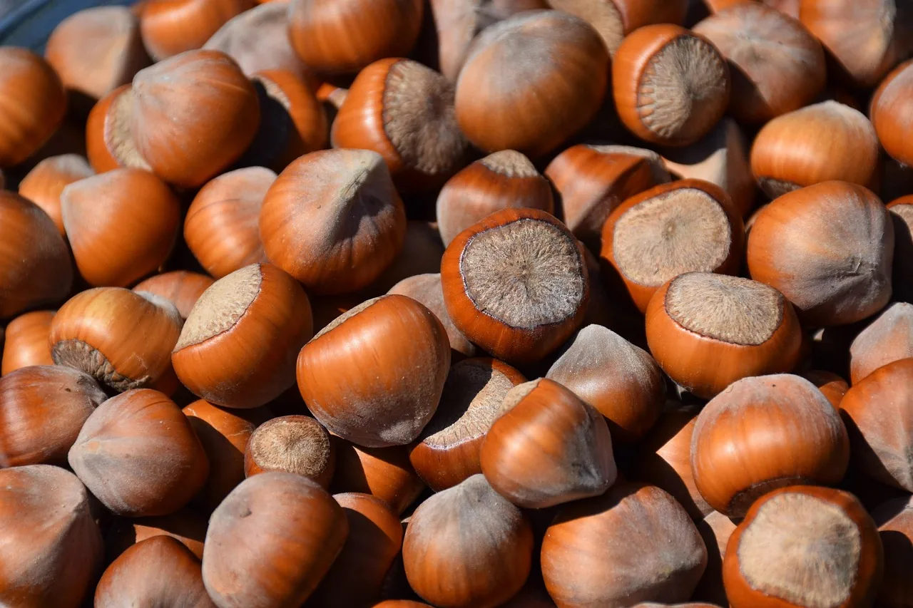 Levure de bière, sélénium & zinc : cheveux, ongles, peau — le décryptage 9 Aliments riches en sélénium et zinc – noix du Brésil, fruits de mer, graines