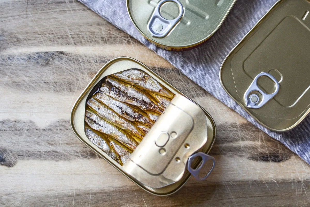 Oméga 3 au Maroc : cœur, cerveau, vision & science 20 Sardines fraîches disposées sur de la glace, poisson gras emblématique des côtes marocaines et source d'oméga 3