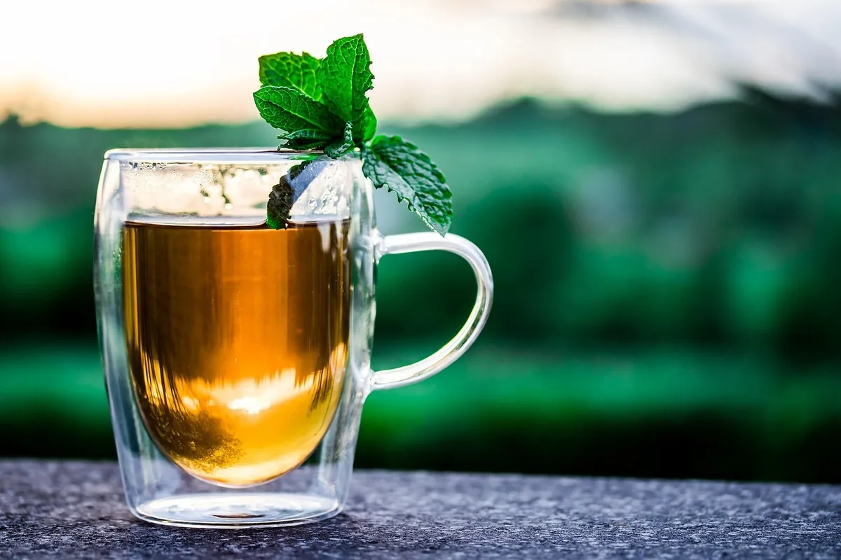 Tasse de tisane parmi des fleurs sauvages, rituel d'infusion apaisante pour accompagner la détente en soirée