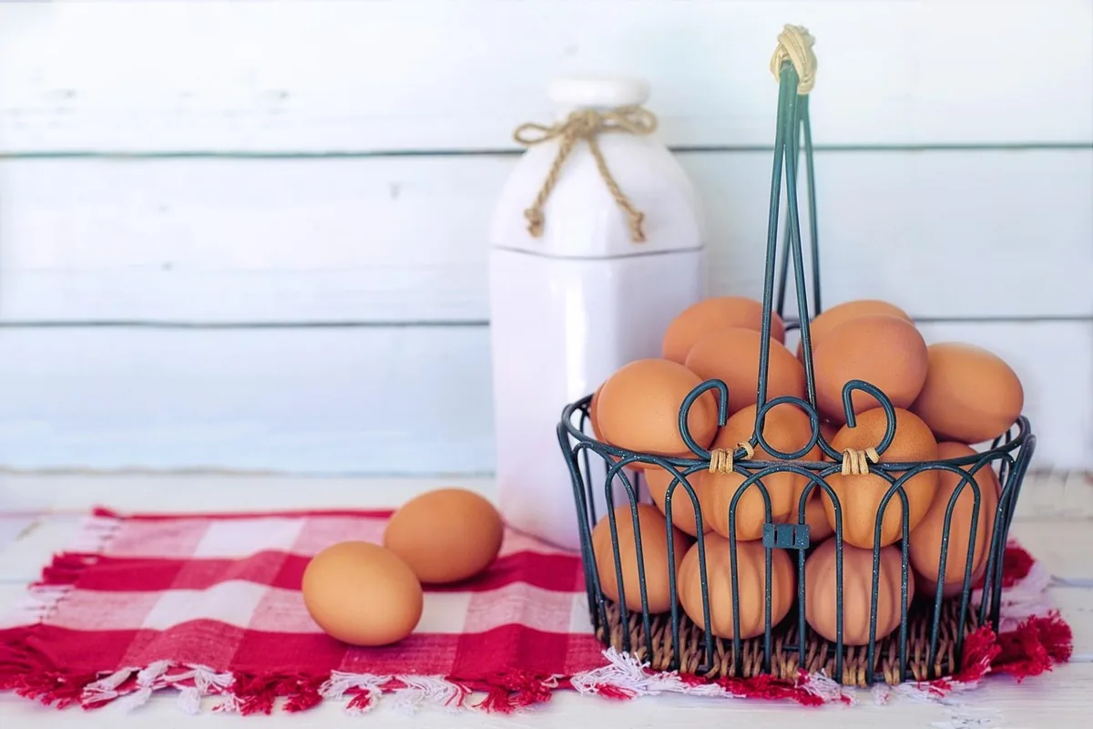 Vitamin B12 Deficiency in Morocco: Symptoms & Fatigue 16 Fresh eggs in a basket, a natural source of vitamin B12 accessible to vegetarians who consume eggs and dairy