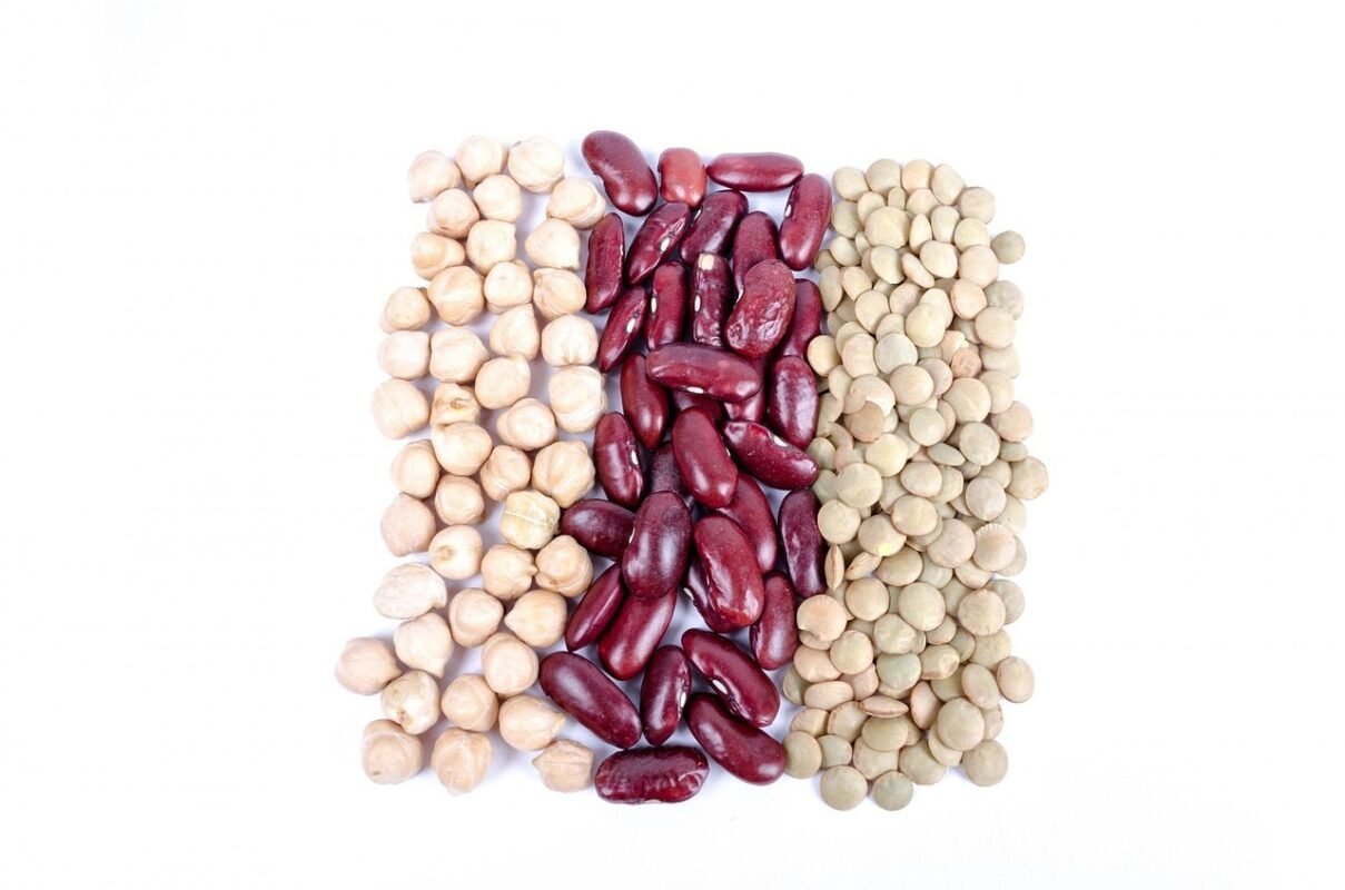Plant-Based Proteins: Complete Guide for Moroccan Athletes 17 av img av img 6731 315511