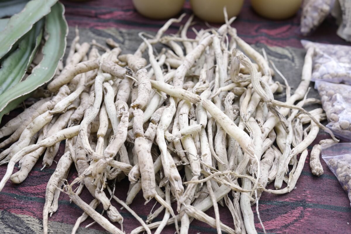 الجنسنج الأحمر: الطاقة، التعب، الرغبة الجنسية 79 av img av img 7183 10902685