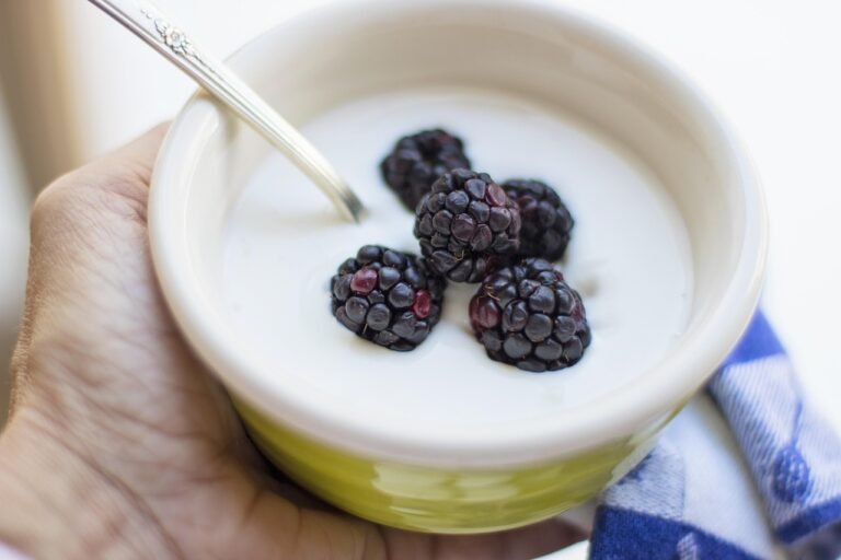 Probiotiques : bienfaits, flore intestinale et immunité au Maroc