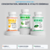 Pack concentration et mémoire : oméga-3, ginkgo biloba et moringa
