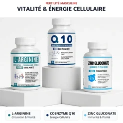 Pack Fertilité Masculine Alphavital : L-Arginine 500 mg, Coenzyme Q10 100 mg et Zinc gluconate
